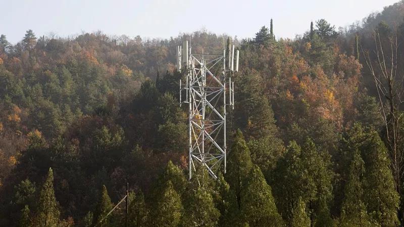 1密林深處，豎立起格外醒目的移動4G基站.jpg