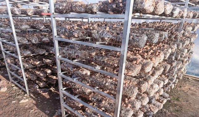 產業旺 人心齊 環境美