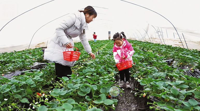 趙昌忠的“甜蜜事業(yè)”