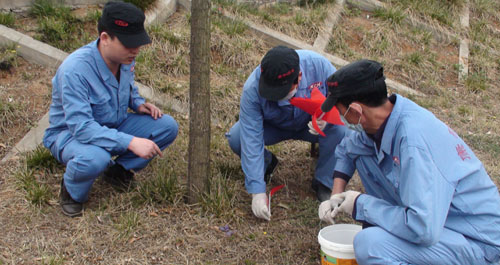 丹鳳對(duì)丹江河綠地進(jìn)行專(zhuān)業(yè)病媒生物消殺