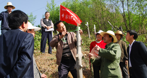 商南黨員干部組織果樹栽培教育活動