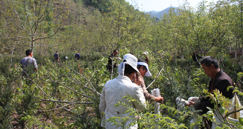 利用國家財政部獨家“大學技術推廣項目”