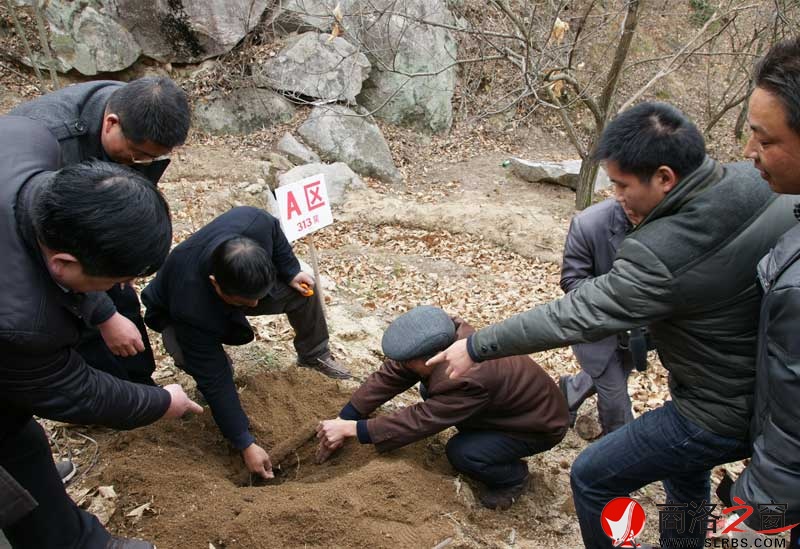 商南縣政府開展送政策、送技術、送溫暖活動