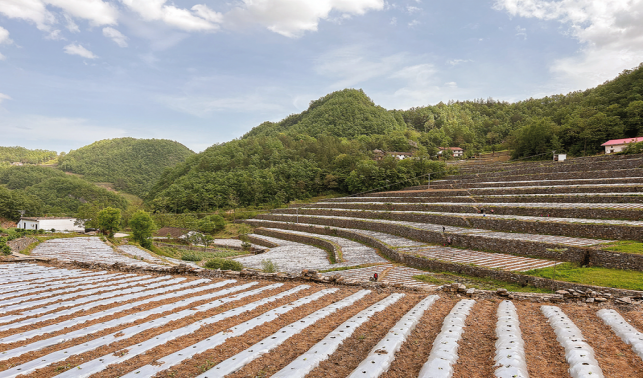 用好“千萬工程”經驗 繪就和美鄉(xiāng)村新畫卷